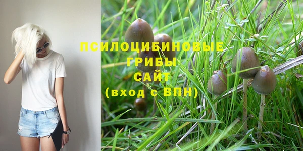 дживик Кукмор