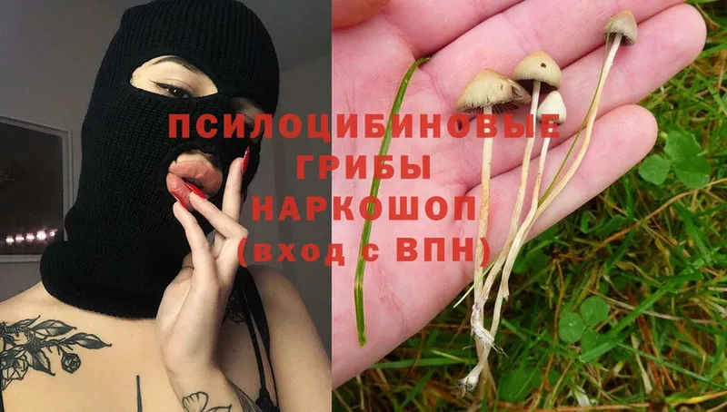 Галлюциногенные грибы Magic Shrooms  Дрезна 