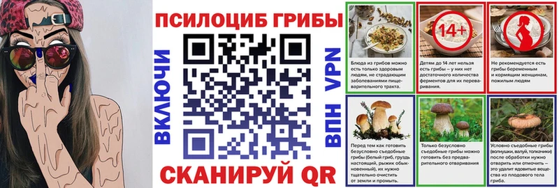 цена   Дрезна  Галлюциногенные грибы MAGIC MUSHROOMS 